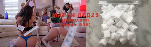 винт Алзамай