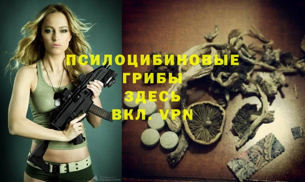 винт Алзамай
