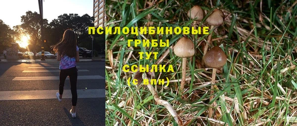 амф Алексеевка