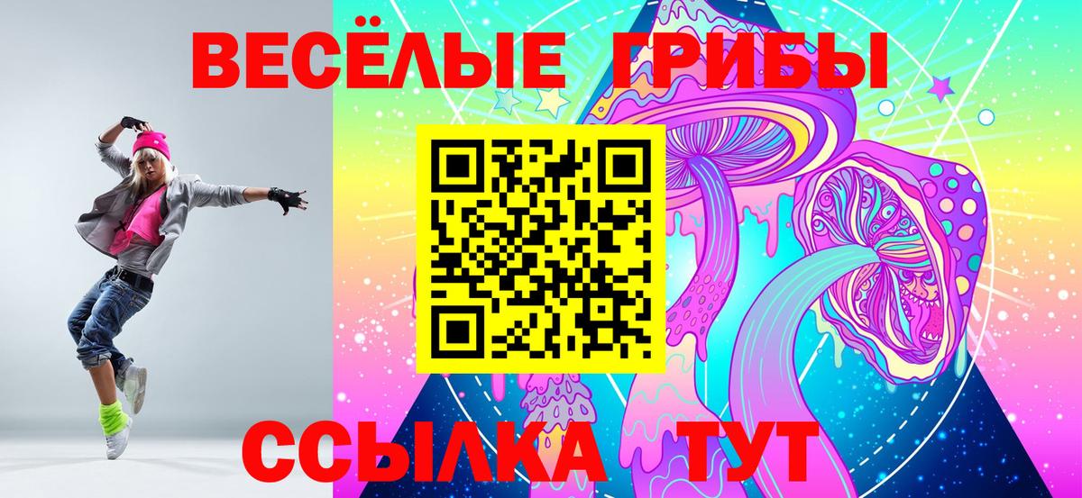 Псилоцибиновые грибы Cubensis  Вход с VPN  Апатиты 