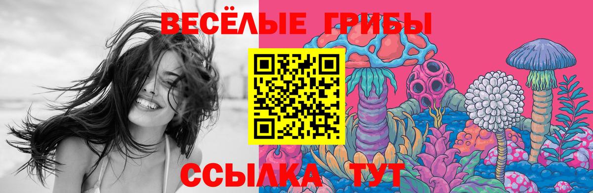 Псилоцибиновые грибы GOLDEN TEACHER Апатиты