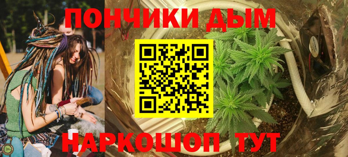 Шишки марихуана сатива Апатиты